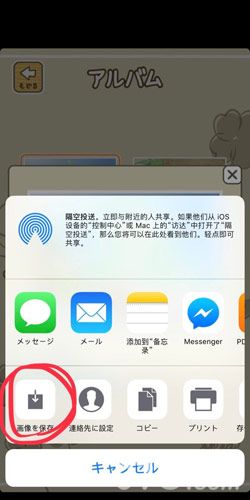 青蛙旅行照片保存