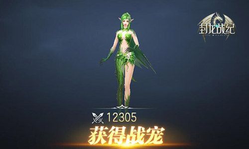 封龙战纪5