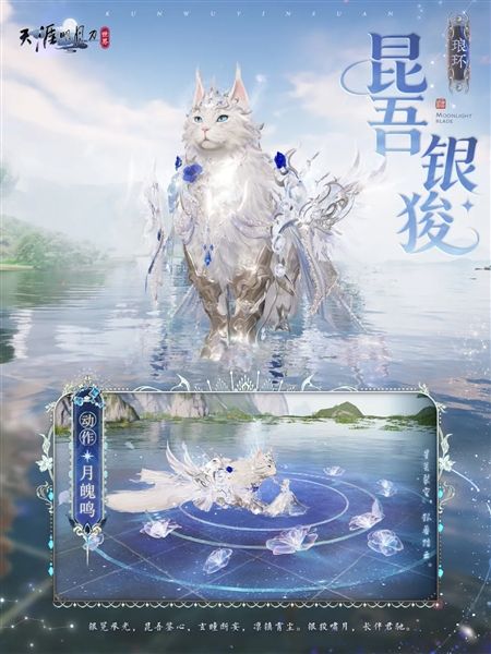 天涯明月刀10
