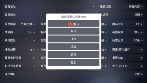 怎么调整画面缩放比例配图3