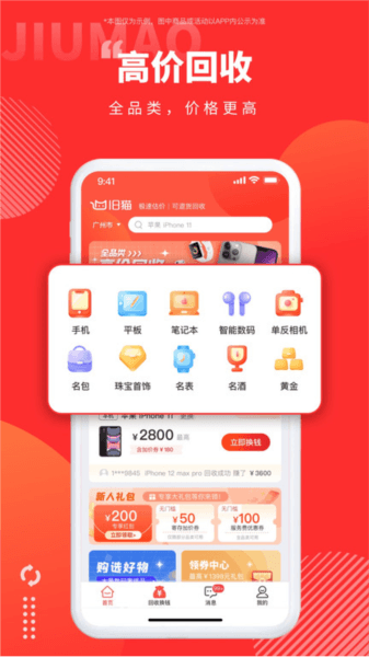 旧猫图片1