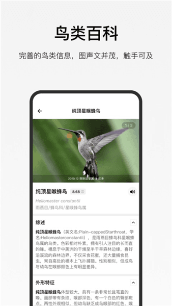 懂鸟app官方版宣传图