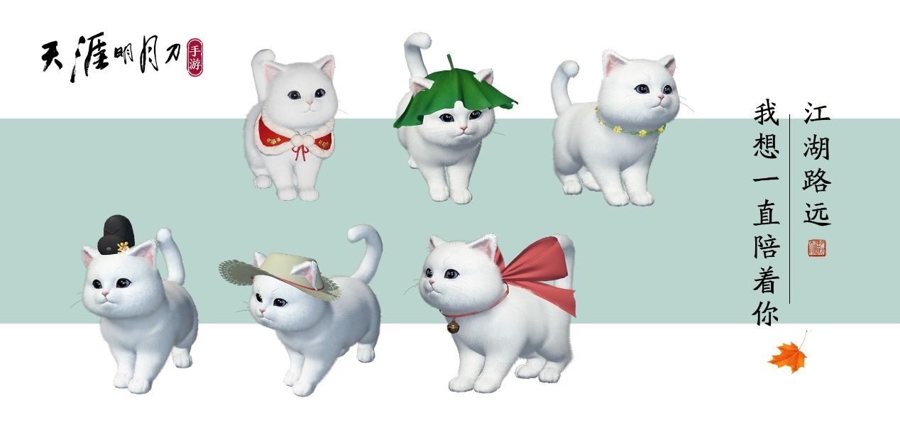 萌宠猫咪图1