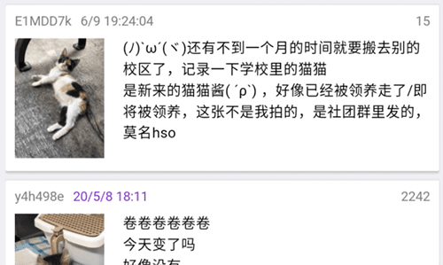 ACGN社区软件下载