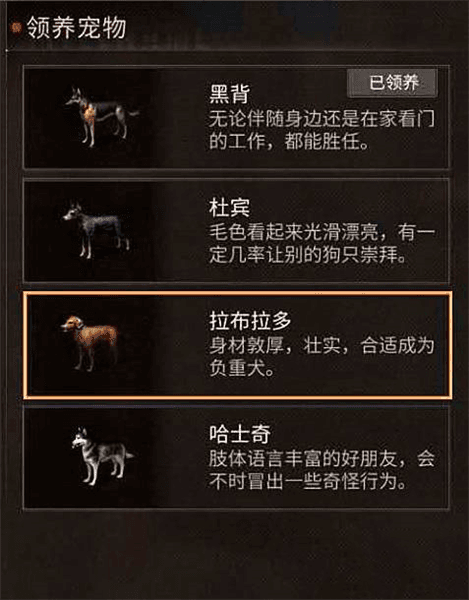 新手攻略配图1
