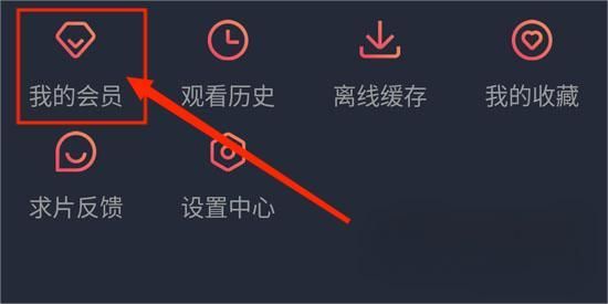 怎么充会员配图2