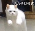 奥利给!《盛世遮天》代言人教你如何速刷BOSS! 奥利给!《盛世遮天》代言人教你如何速刷BOSS!