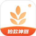 大麦相机app