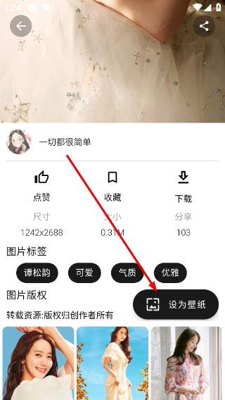 怎么下载壁纸图片配图2