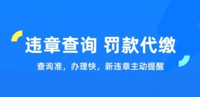 车行易查违章app1