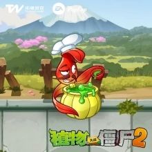 植物介绍配图8