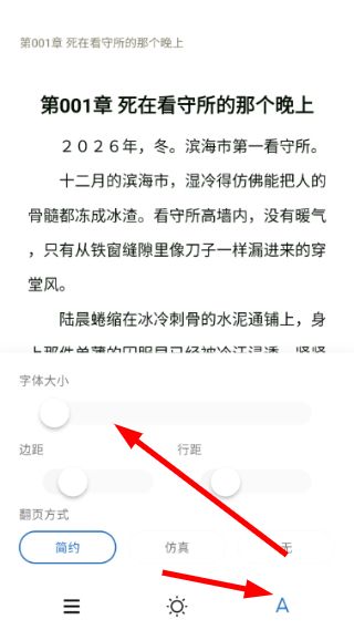 如何设置字体配图4
