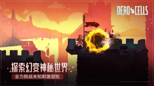 重生细胞图片