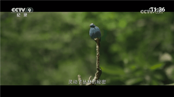 软件内容配图1