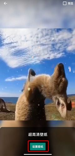 超高清壁纸图片3