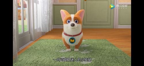 小企鹅乐园app截图16
