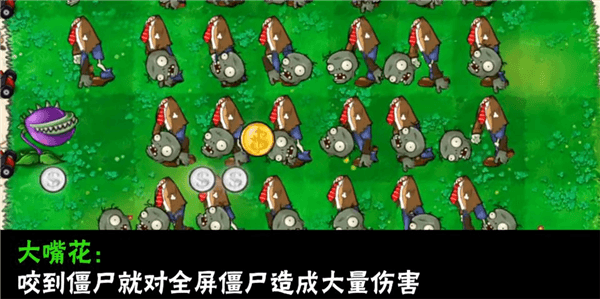植物介绍配图6