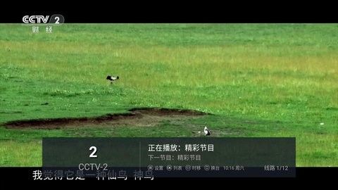 白菜直播软件图片2