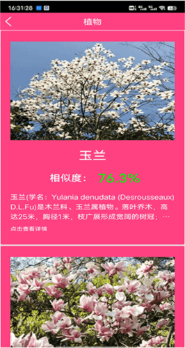 拍照识花app5