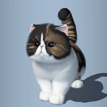 萌宠猫咪图3