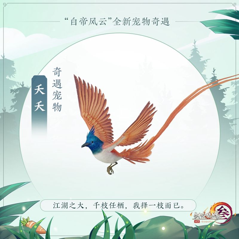 携手游园共探“好大儿” 《剑网3》与你相约红山动物园 携手游园共探“好大儿” 《剑网3》与你相约红山动物园