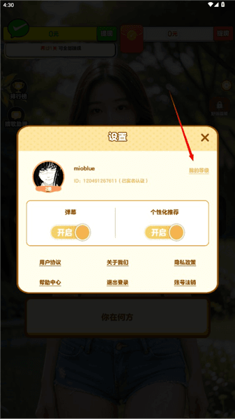 怎么查看自己的游戏等级配图2