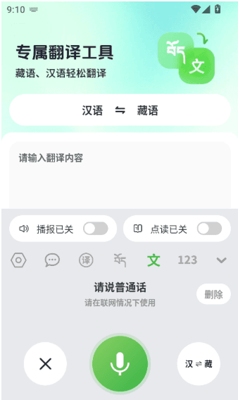 如何使用语音翻译工具配图4