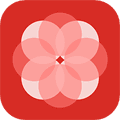 辅布司app