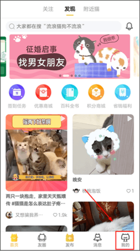 添加猫咪档案教程配图1