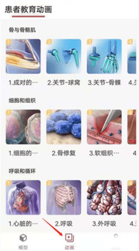 3Dbody艺用6