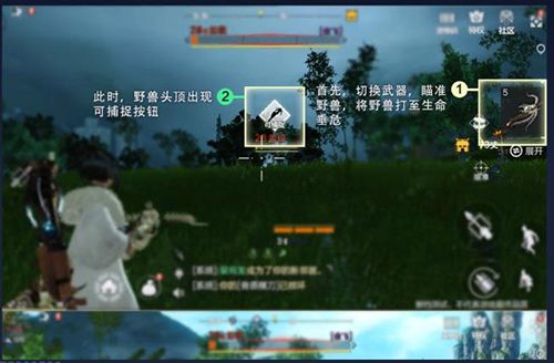 妄想山海宠物怎么抓永久2