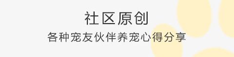 我爱它它app软件特色