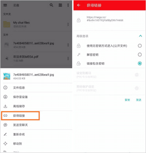 mega云盘安卓版15
