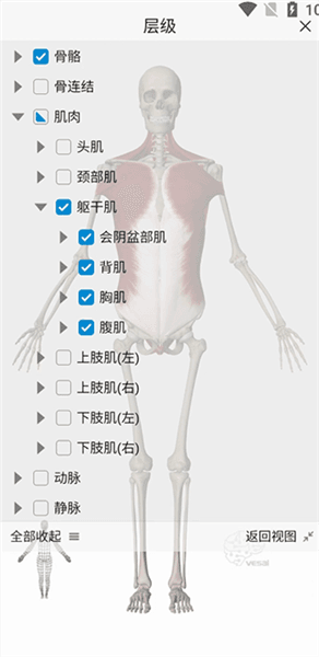 基础操作教程配图2