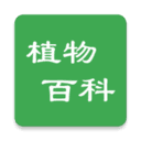 植物百科