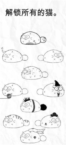 fatty cat图片2