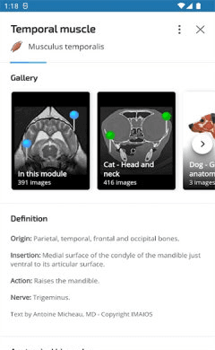 vet anatomy宣传图