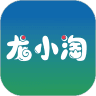 龙小淘