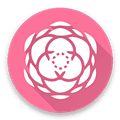 东方狗thbwiki