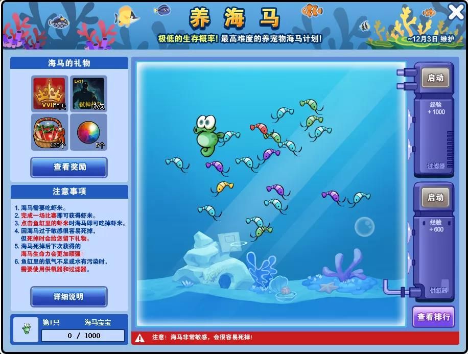 【一起来养海马】