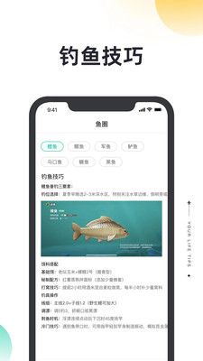 软件特色配图1