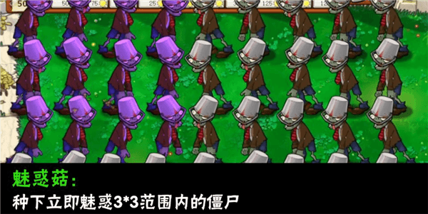 植物介绍配图9
