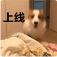 巴风特之怒18