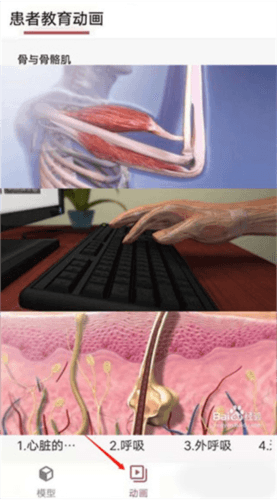 3Dbody艺用7