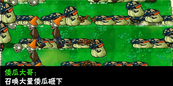 植物介绍配图14