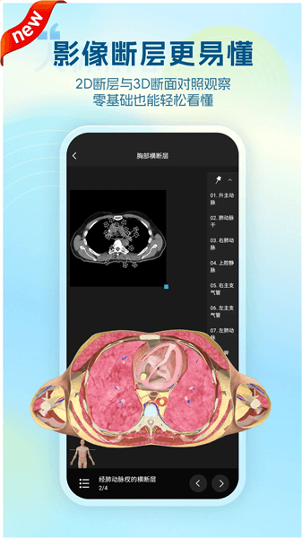 维萨里3d解剖app宣传图
