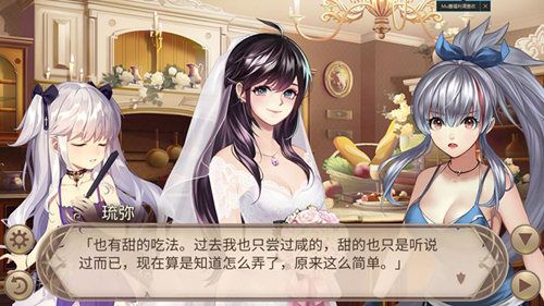 姬魔恋战纪6