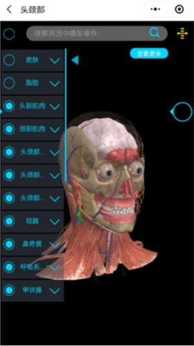 医维度3d人体解剖使用教程1