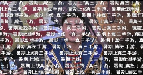 真·三国无双 霸10