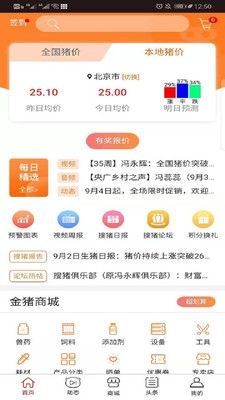 金猪5